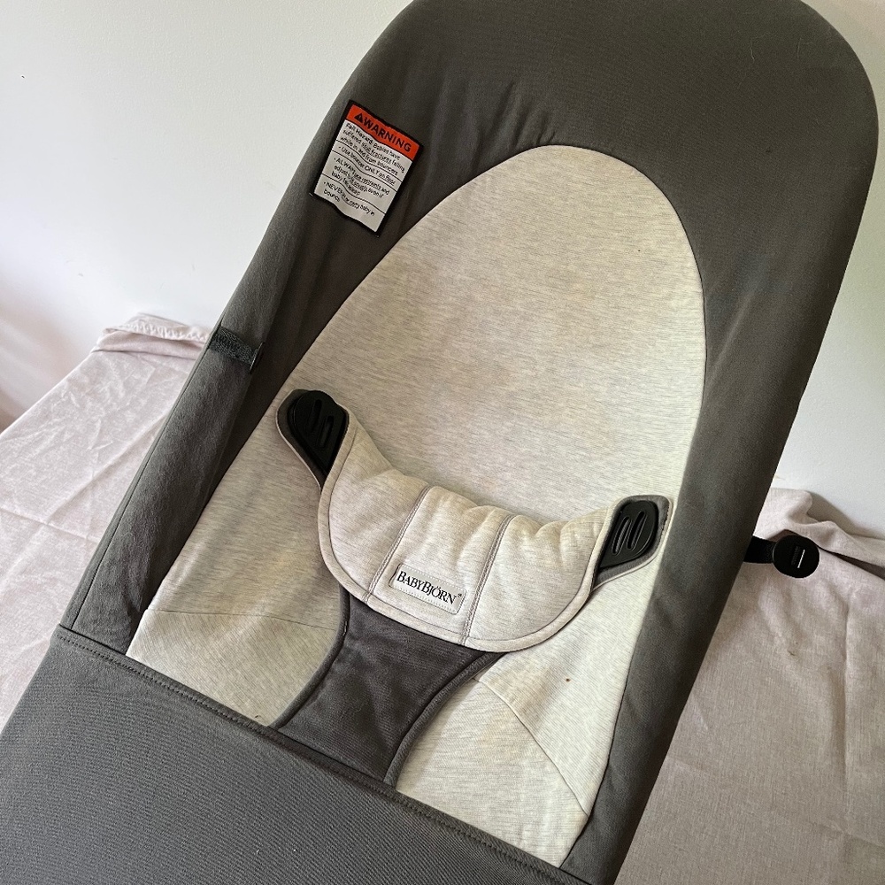 Baby Bjorn Bouncer